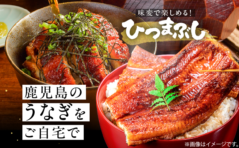 鹿å
å³¶çç£ããªã 2å°ŸãKN180-002