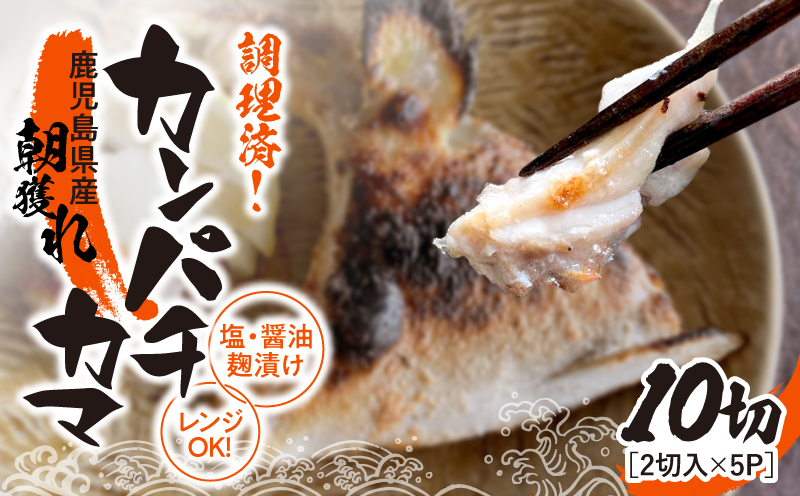 調理済み！カンパチカマ塩・醤油麹（こうじ）漬け 10切（焼タイプ）　KN037-002-03