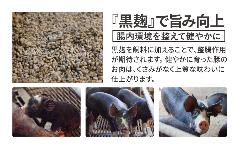 かごしま黒豚しゃぶしゃぶ 800g /贈答用箱入り　KN167-001