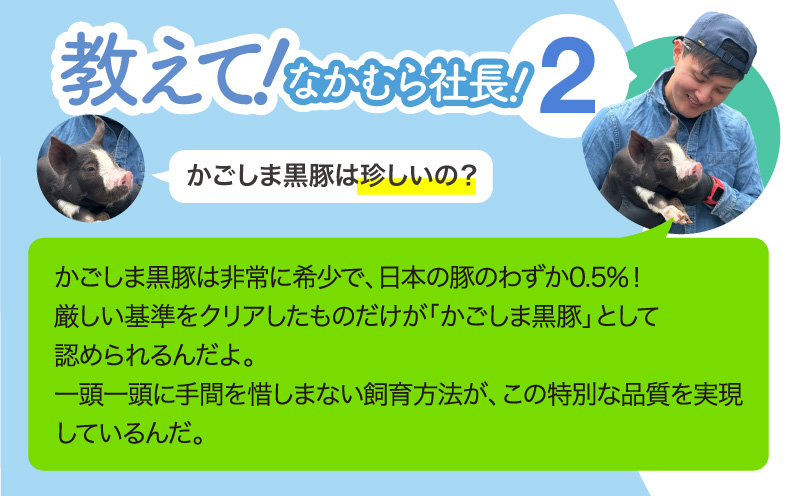 かごしま黒豚しゃぶしゃぶ 800g /贈答用箱入り　KN167-001