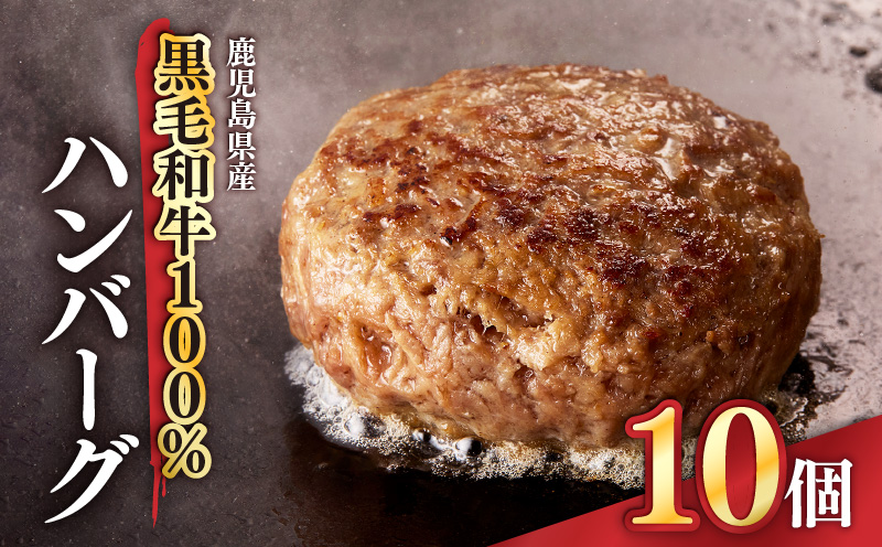 1525 鹿児島県産黒毛和牛100％ハンバーグ10個　KN041-008