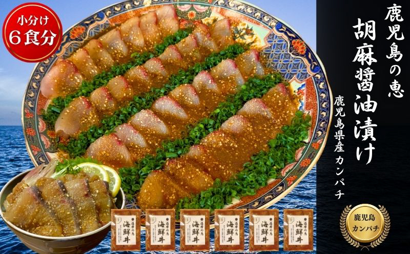 鹿屋市産 かんぱち 胡麻醤油漬け 海鮮丼セット 6食分　KN097-005-02