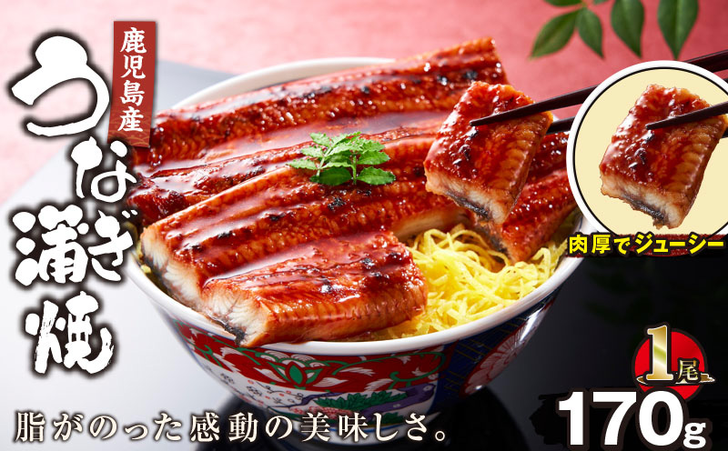 鹿児島産うなぎ蒲焼 170g×1尾 清らかな地下水育ち！　KN021-014-01