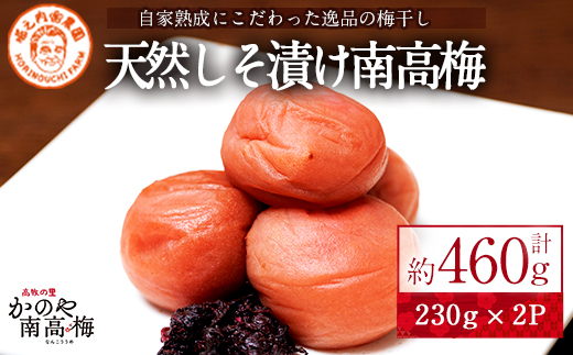 かのや南高梅　しそ漬け　230g×2箱【梅 うめ 梅干し うめぼし しそ シソ 紫蘇 塩漬け 天然 自家製 小分け 南高梅】