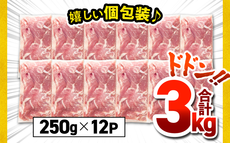 鹿児島県産豚肉切落し 3kg セット　KN165-008-01