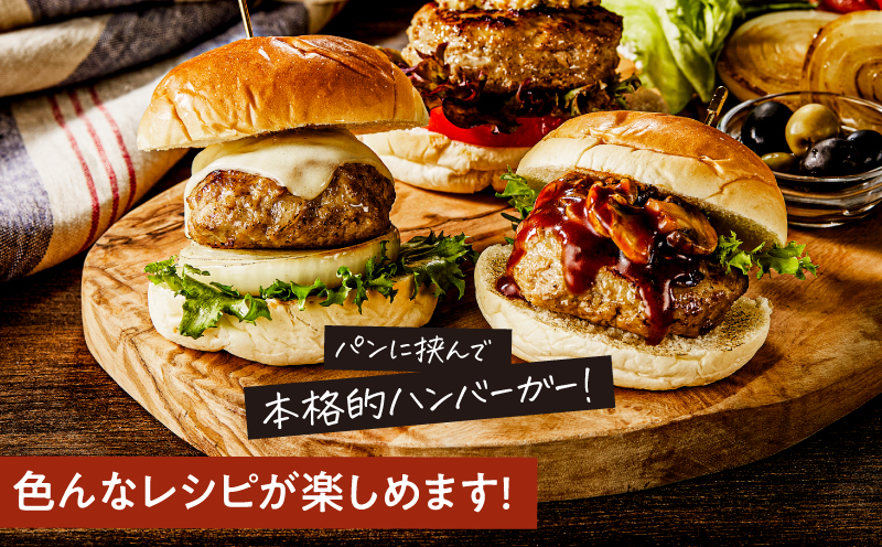 鹿児島県産黒豚生ハンバーグ 800g（80g×10個）　KN054-013