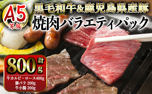 A5等級黒毛和牛＆鹿児島県産豚焼肉バラエティパック　800g