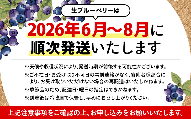 【先行予約】1217-1 粒王 生ブルーベリー 1.2kg（400g×3P）　KN030-002-01