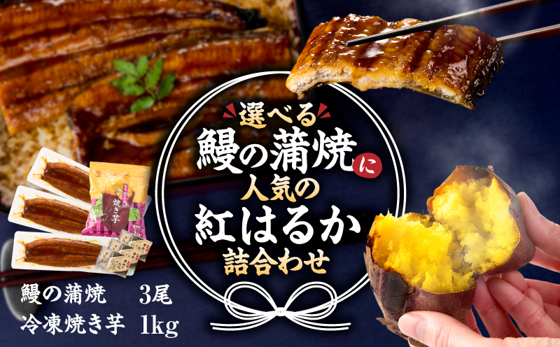 クラウドファンディングで応援！鰻の蒲焼に人気の紅はるか詰め合わせ 3尾＋冷凍焼き芋 1kg　KN026-021-03