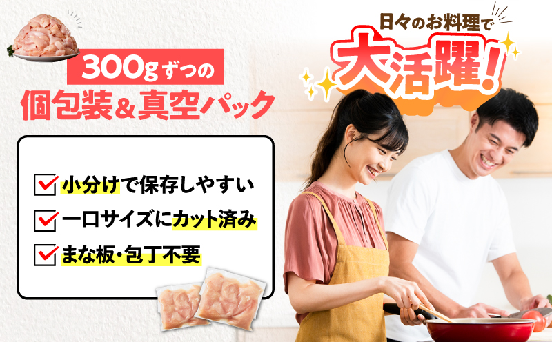 鹿児島県産若鶏ムネ切身 9.6kg セット　KN165-004-02