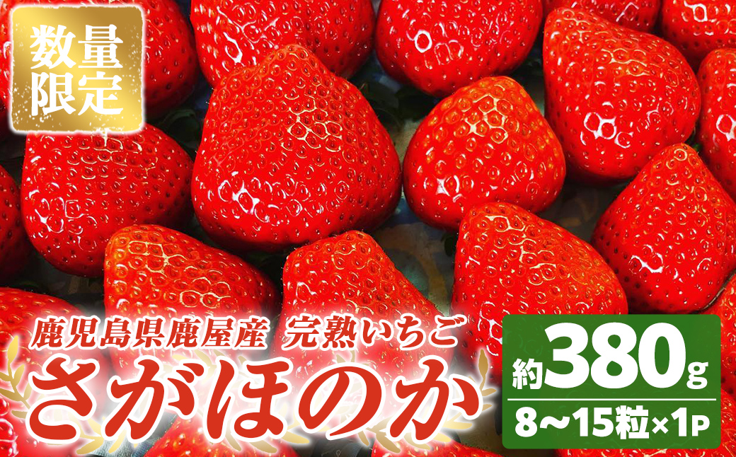 【数量限定】鹿児島県産いちご「さがほのか」8〜15粒×2箱　ストロベリーハウス彩より直送