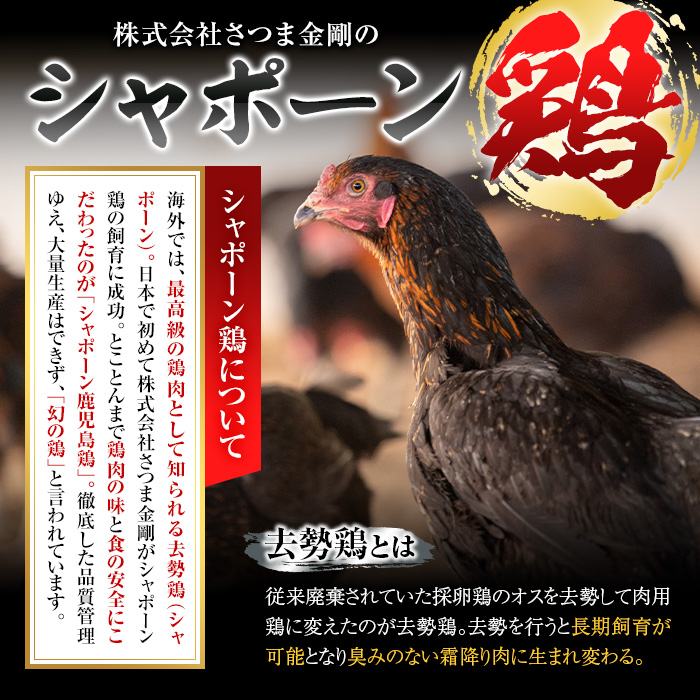 唯一の国産 幻の鶏肉 シャポーン鹿児島鶏バラシ２Kg以上【鶏肉 鶏 鳥肉 もも肉 むね肉 ガラ ササミ 手羽先 手羽元 内臓】