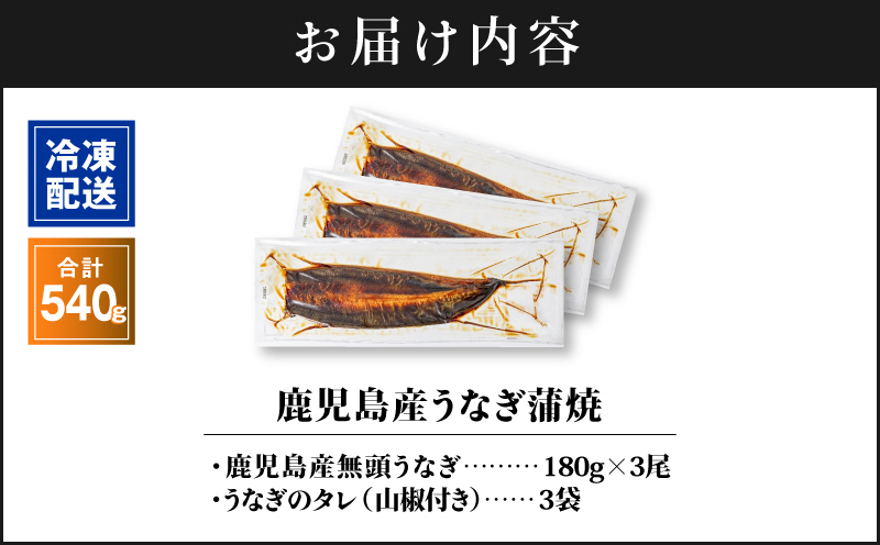 2446 鹿å
å³¶ç£ããªã åèš540gïŒ180gÃ3å°ŸïŒ æž
ãããªå°äžæ°Žè²ã¡ïŒãKN021-015-03ãæ ªåŒäŒç€Ÿè²¡å®ã
