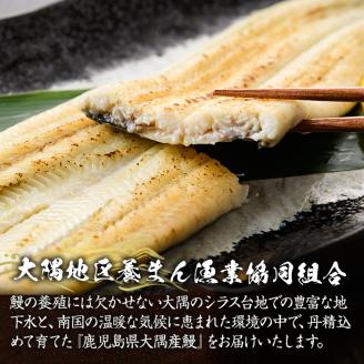 鹿児島県大隅産うなぎ白焼６尾 計720g