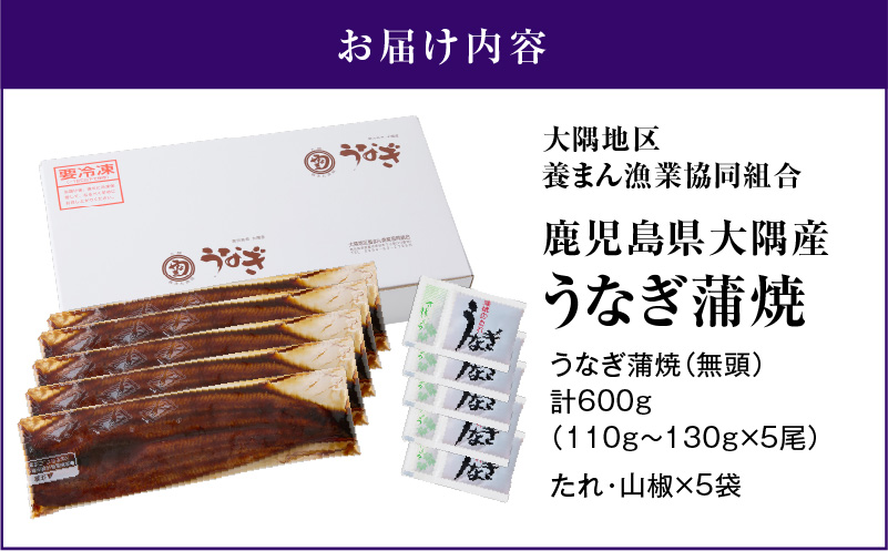 鹿児島県大隅産うなぎ蒲焼5尾セット（計600g）　KN007-022