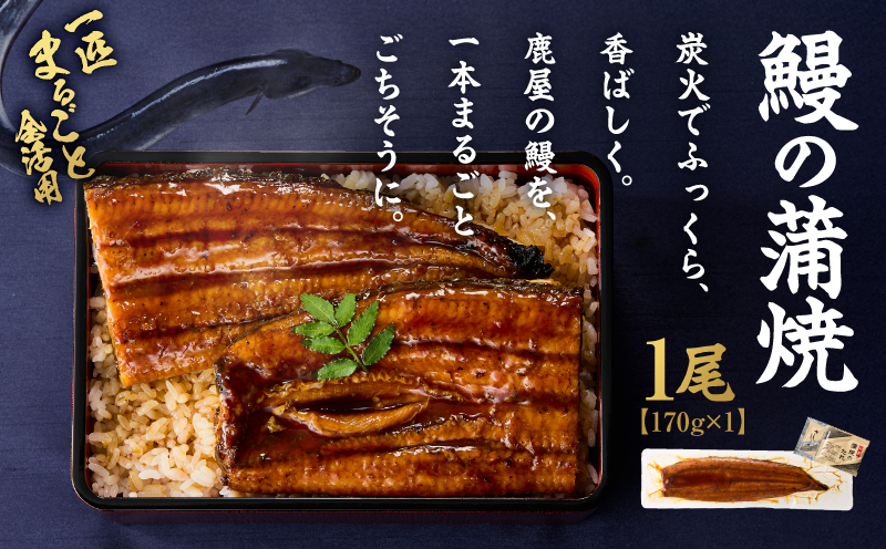 クラウドファンディングで応援！鰻の蒲焼 170g×1尾　KN026-020