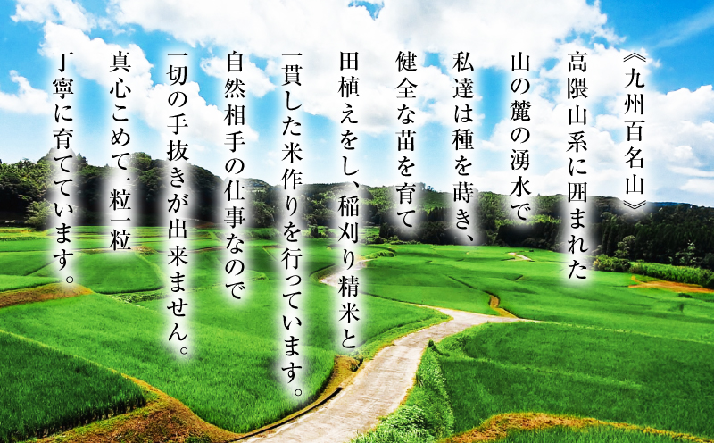 1670-2 縲仙ィ3蝗槫ョ壽悄萓ソシ磯囈譛茨シ峨代%縺繧上j霎イ螳カ縺ョ閾ェ菫。菴懶シ鮖ソ螻句クるォ倬嚠逕」縲後イ縺ョ縺イ縺九j縲 10kg縲KN069-T03縲舌ワ繝槭ム蝠莠区怏髯蝉シ夂、セ縲