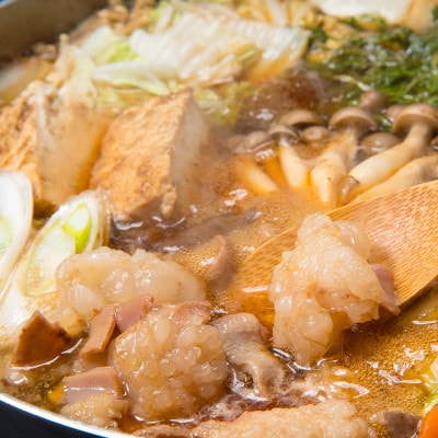 国産黒毛和牛シロホルモンセット　840g A3-383【配送不可地域：離島】【1694678】