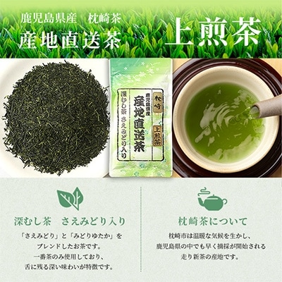 大河内製茶の煎茶飲み比べ【 3種 】セット ( 特上煎茶・上煎茶・煎茶 )  AA-664【1167085】