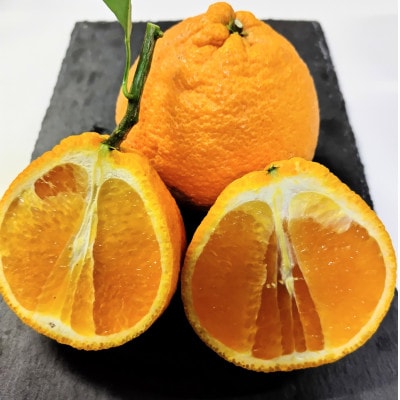 äžç¥ç« èš5kg 鹿å
å³¶çæåŽåžç£ããå®¶åºçš A6-175ã1697636ã