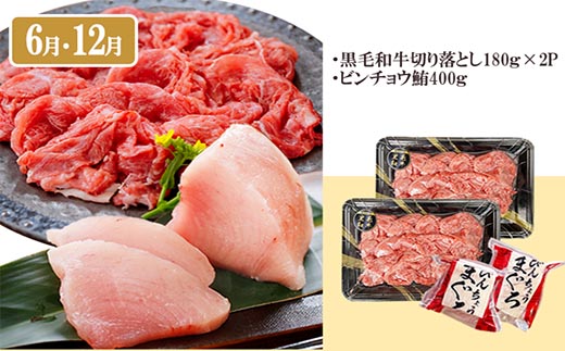 定期便(6回)枕崎お楽しみ便(黒毛和牛・まぐろ・かつおetc) GG-0046【配送不可地域：離島】【1166768】