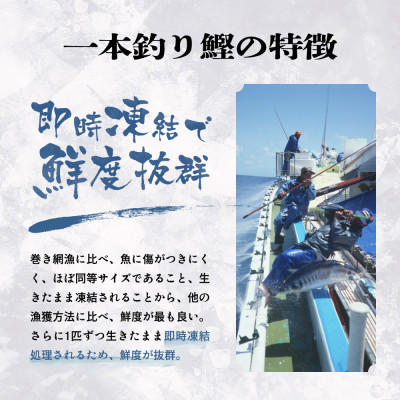 脂ののった戻り鰹＆活き〆かつお(枕崎ぶえん鰹) 合計1Kg タレ付 A3−133【配送不可地域：離島】【1166319】