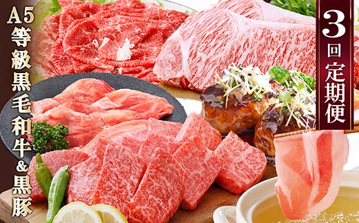 定期便(3回配送)鹿児島産A5等級黒毛和牛&黒豚 EE-6014【配送不可地域：離島】【1471286】