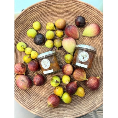 èŽ
æ²¢æå®ã®ãžã£ã ã»ãããããŒãŒã«ã»ãã¡ããã»ãã³ãŽãŒããã·ã§ã³ãã«ãŒãã A3-388ã1706735ã