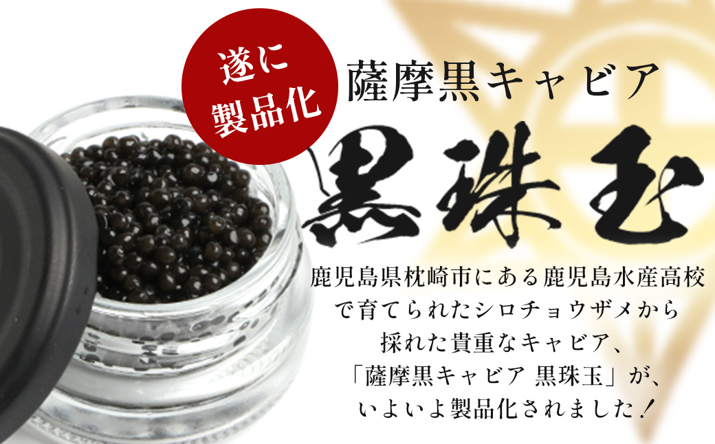 ãæ°ééå®ãè©æ©é»ãã£ãã¢é»ç ç 鹿å
å³¶æ°Žç£é«æ ¡ æåŽãã£ãã¢ãæšç®±å
¥ããã20gÃ1ç®±ã C3-2ãé
éäžå¯å°åïŒé¢å³¶ãã1614940ã