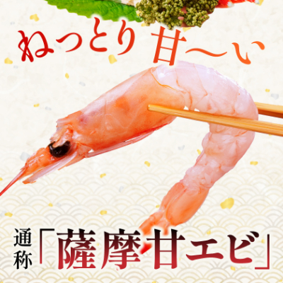 【薩摩の甘エビ】大きいサイズ　天然タカエビ500g　A1-10【配送不可地域：離島】【1524580】