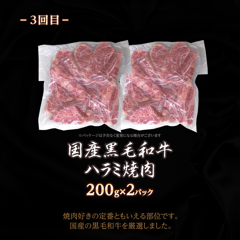 【毎月定期便】黒毛和牛焼肉お楽しみ定期便1.2kg(枕崎市) DD0-0029 全3回【配送不可地域：離島】【4072115】