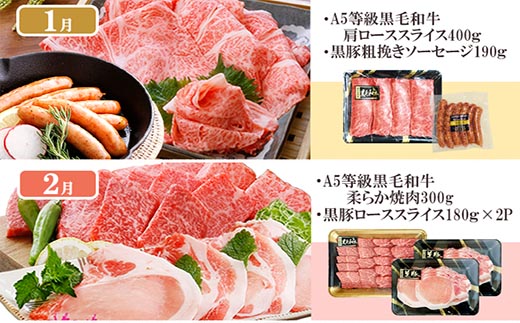 定期便(1年で10回配送)お楽しみ便(A5等級黒毛和牛・黒豚)HH-6004【配送不可地域：離島】【1166752】