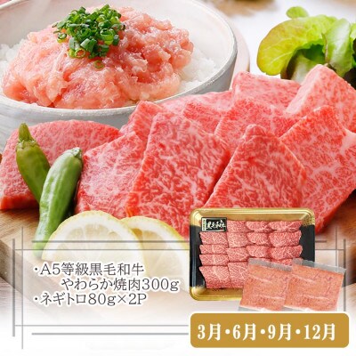 定期便【3回配送】枕崎お楽しみ便(A5黒毛和牛・豚ロース・黒豚ハンバーグ・かつお丼)LL-6037【配送不可地域：離島】【1473519】