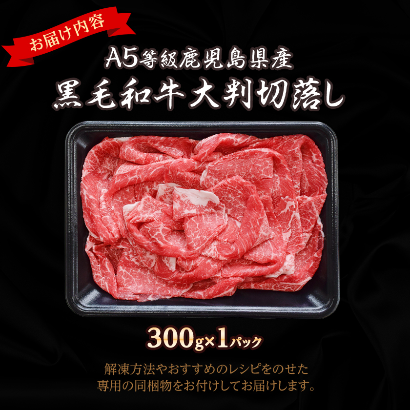 A5等級鹿児島県産黒毛和牛大判切落し(枕崎市) A0-78【配送不可地域：離島】【1650517】