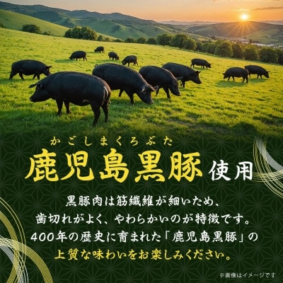 鹿児島県産黒豚 ほどける 黒豚の角煮【約200g×3P】A5−17【配送不可地域：離島】【1595218】