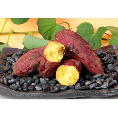 【先行予約】本場鹿児島さつまいも【シルクスイート】6kg　2025年10月より発送A3-58【配送不可地域：離島】【1170448】