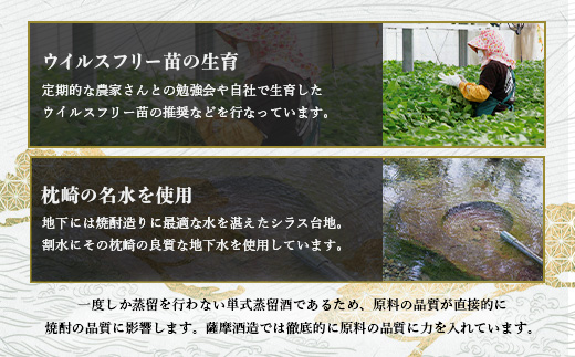 芋らしさが好き〜限定焼酎＆さつま白波 1800ml×各1本【薩摩焼酎】芋焼酎 黒麹 A6−99【1167974】