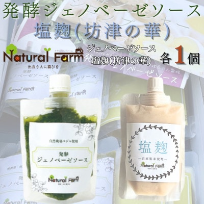 発酵ジェノベーゼソース&塩麹　各1パックセット A1-7【配送不可地域：離島】【1619065】