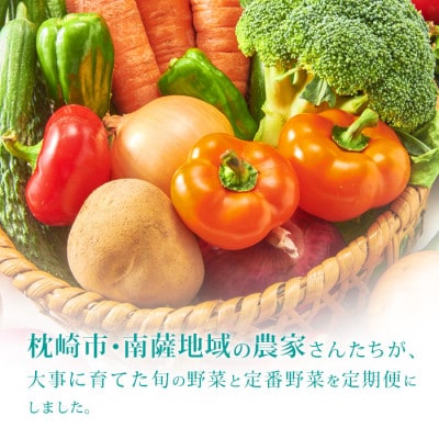 【発送月固定定期便】枕崎の野菜!!定番・旬の野菜お任せセット(5・11・2月)DD0−0008全3回【配送不可地域：離島】【4057567】