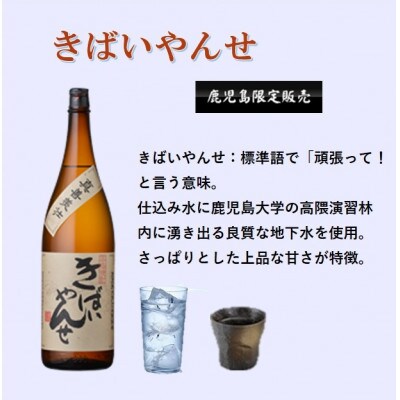 【本格焼酎】きばいやんせ【鹿児島限定】 1800ml×3本　B5-9【配送不可地域：離島】【1605250】