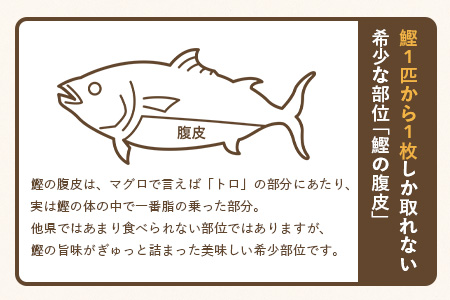 枕崎カレー(180g×5パック)【おうちでご当地カレー】 A3−233【1166514】