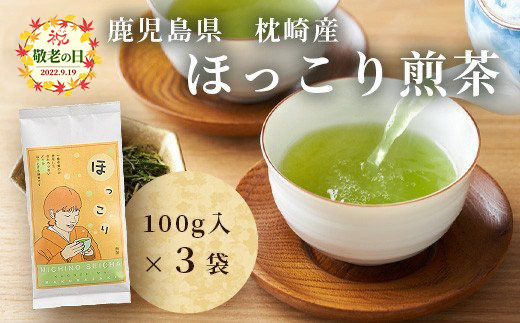 【敬老の日】ほっこり煎茶【100ｇ×3袋】道野製茶（一番茶葉のみ使用）ギフト 贈り物 AA-925