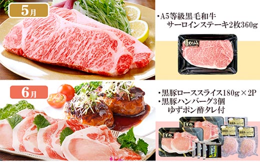 定期便(1年で10回配送)お楽しみ便(A5等級黒毛和牛・黒豚)HH-6004【配送不可地域：離島】【1166752】