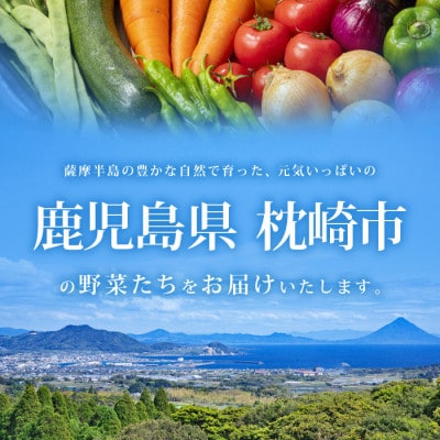 【発送月固定定期便】枕崎の野菜!!定番・旬の野菜お任せセット(3・9・12月)DD0−0009全3回【配送不可地域：離島】【4057594】