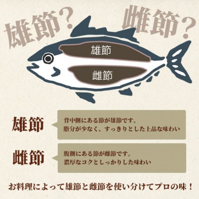 【お中元・のし付き】【枕崎産】近海物本枯節2本セット　総合計約600g【化粧箱入】 A9-1C【1514808】