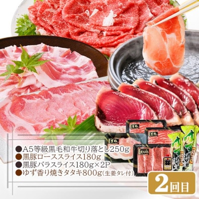 定期便2回配送　いろいろ試せる!ミニ削り器＆お肉・お魚お届け便　CC0−0003【1507436】