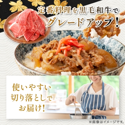 縲宣ケソ蜈仙ウカ逵檎肇縲鷹サ呈ッ帛柱迚 襍、霄ォ 蛻繧願誠縺ィ縺 1kg (500gテ2)(譫募エ主ク) A8-111縲宣埼∽ク榊庄蝨ー蝓滂シ夐屬蟲カ縲代1616201縲