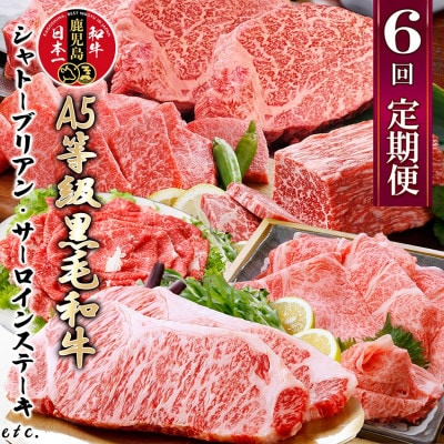 定期便(6回)鹿児島県産A5等級黒毛和牛シャトーブリアン・サーロインステーキetc　HH-6001【配送不可地域：離島】【1166783】