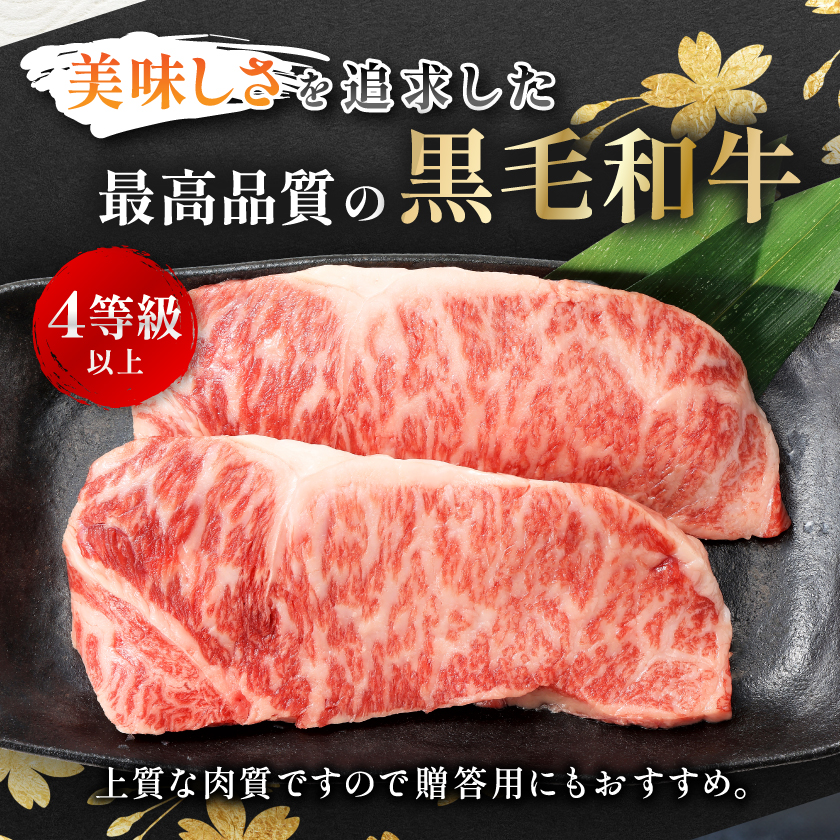 ã鹿å
å³¶çç£ã黿¯åç ãµãŒãã€ã³ã¹ããŒã çŽ510g (çŽ170gÃ3æ)(æåŽåž) B3-89ãé
éäžå¯å°åïŒé¢å³¶ãã1616196ã