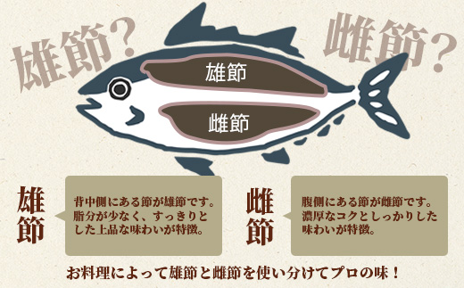 【枕崎産】近海物本枯節【縁起物】2本セット【雄節・雌節】総合計約500g【段ボール入】 A3−281【1490384】